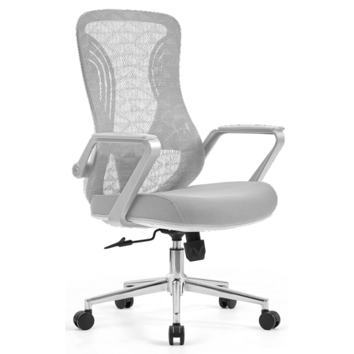 AAMIR Grey Frame Mesh  Office Chair