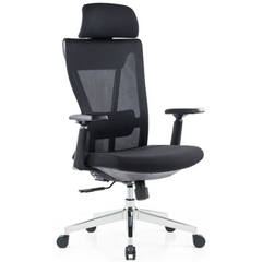 ERGO PRIME Mesh Ergonomic Chair