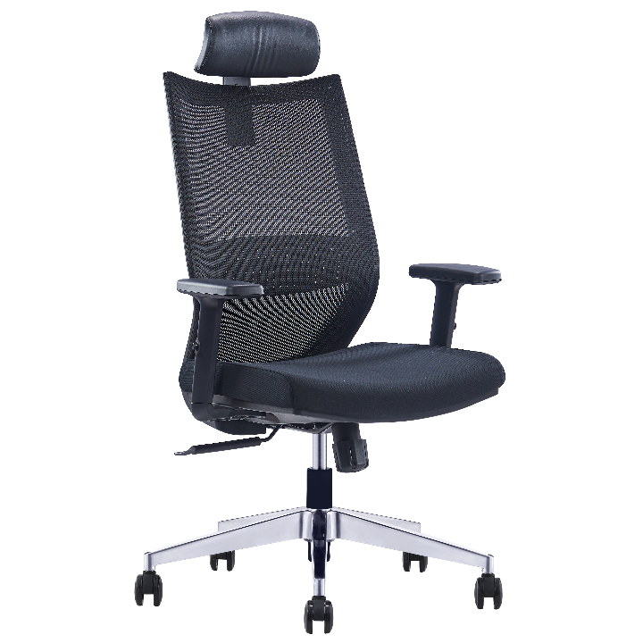 CIVIC Mesh Ergonomic Chair
